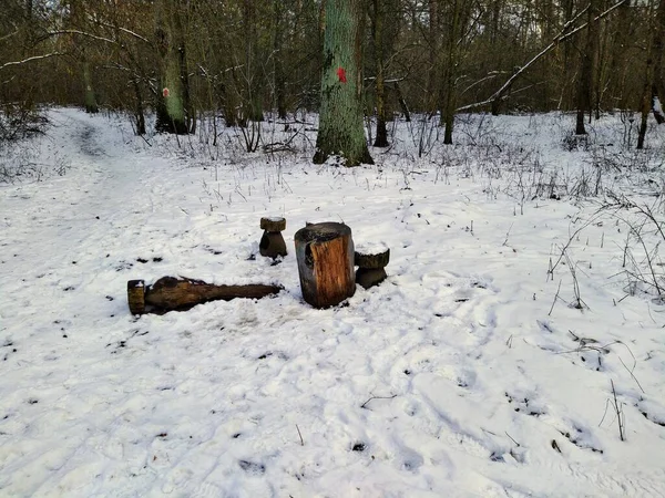 Straßenbahnhaltestelle Kalancha Verschneiten Winterwald Bei Bewölktem Tag — Stockfoto