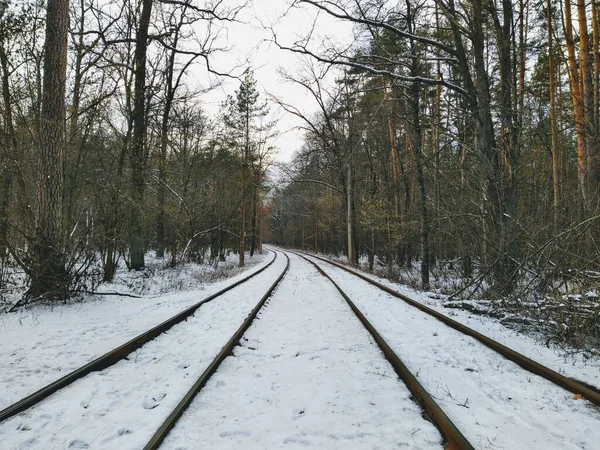 Szyny Tramwajowe Śnieżnym Lesie Zimowym Pochmurny Dzień — Zdjęcie stockowe