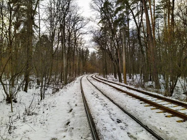 Tram rails in snowy winter forest in cloudy day