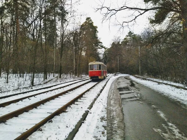 Трамвай Идущий Рельсам Снежном Зимнем Лесу Облачный День — стоковое фото
