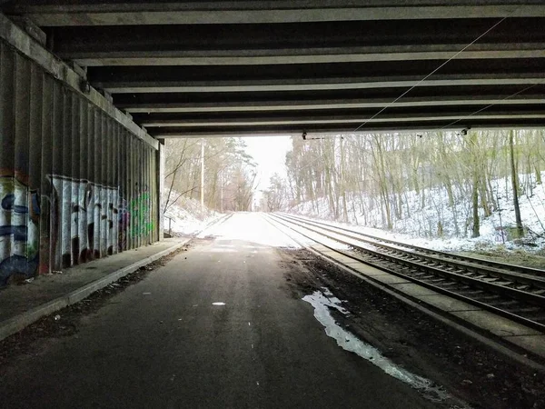Bulutlu Bir Günde Karlı Kış Ormanlarında Tren Rayları Araba Yolu — Stok fotoğraf