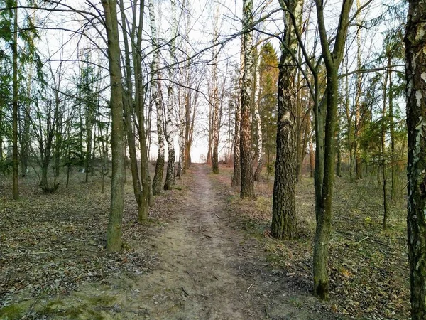 Üres Park Naplementekor Vidéken Tavaszi Szezonban — Stock Fotó