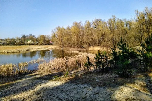 Lago Cerca Del Bosque Campo Rural Soleado Día Primavera — Foto de Stock