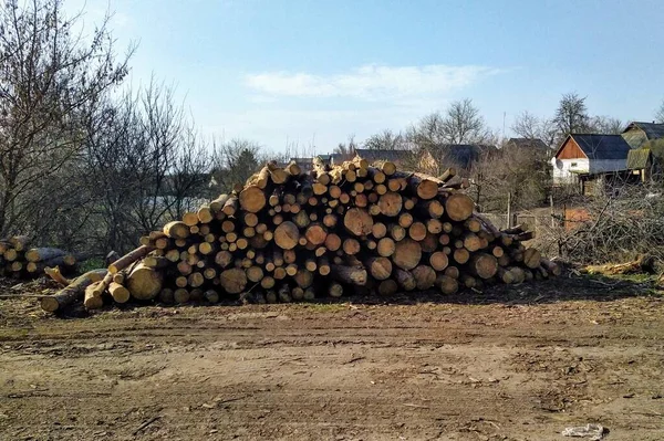田舎の日当たりの良い春の日の木の木材の在庫 — ストック写真