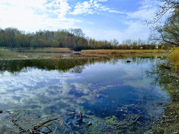 Jezero Blízkosti Lesa Venkově Slunečného Jarního Dne — Stock fotografie