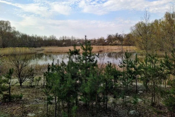 春天里阳光明媚的乡村森林附近的湖 — 图库照片