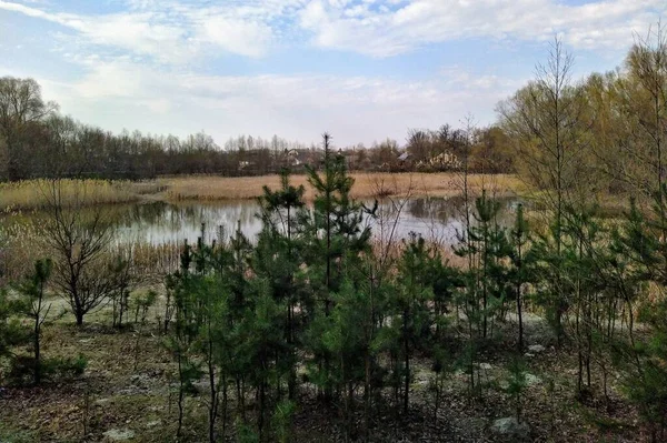 Lago Perto Floresta Campo Rural Dia Ensolarado Primavera — Fotografia de Stock