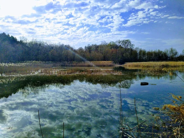 Waldnaher See Ländlicher Umgebung Sonnigen Frühlingstagen — Stockfoto
