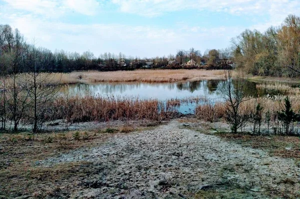 Jezioro Pobliżu Lasu Wsi Słoneczny Wiosenny Dzień — Zdjęcie stockowe