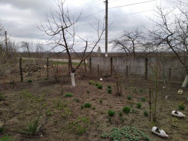 Bahar mevsiminde kırsal bahçedeki bitkiler