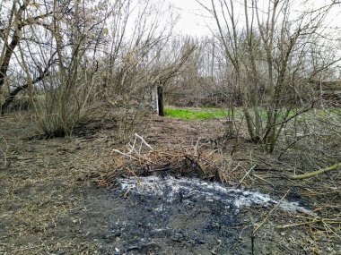 Bahar mevsiminde kırsal kesimde devrilmiş ağaçlar