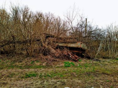 Bahar mevsiminde kırsal kesimde ağaçlar ve terk edilmiş eski arabalar