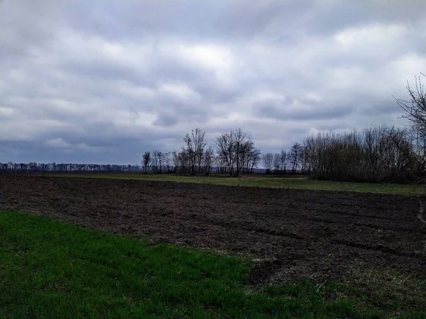 Landelijk Veld Het Voorjaar — Stockfoto