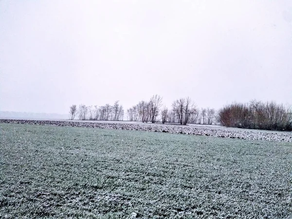 Kırsal Alan Karlı Kış Zamanı — Stok fotoğraf