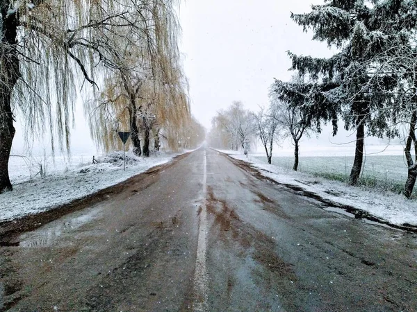 冬季乡村的道路 — 图库照片
