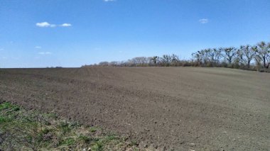 Güneşli bahar gününde kırsal alan