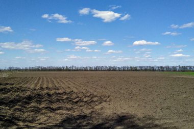Güneşli bahar gününde kırsal alan