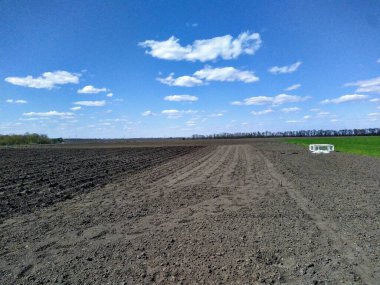 Güneşli bahar gününde kırsal alan