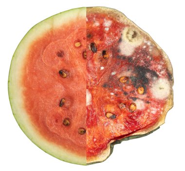 Close up of red watermelon and isolated on white background. Left is fresh watermelon, and right is rotten watermelon. clipart
