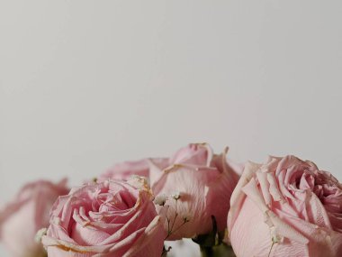 Bir demet gül ve kurumuş kır çiçekleriyle minimum kompozisyon. Bahar konsepti Uzayı kopyala Sevgililer Günü. Düğün Günü.