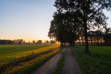A sunset between  the fields on a forest path in autumn