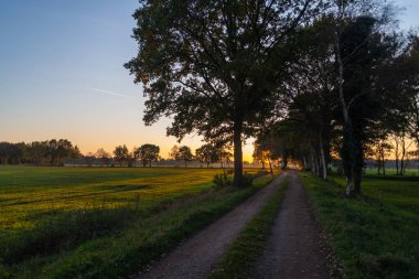 A sunset between  the fields on a forest path in autumn