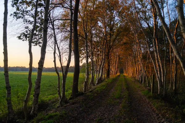 A  small alley in autumn during a sunset — Stock Photo, Image