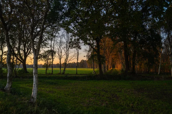 Una puesta de sol entre los campos en un sendero forestal en otoño — Foto de Stock