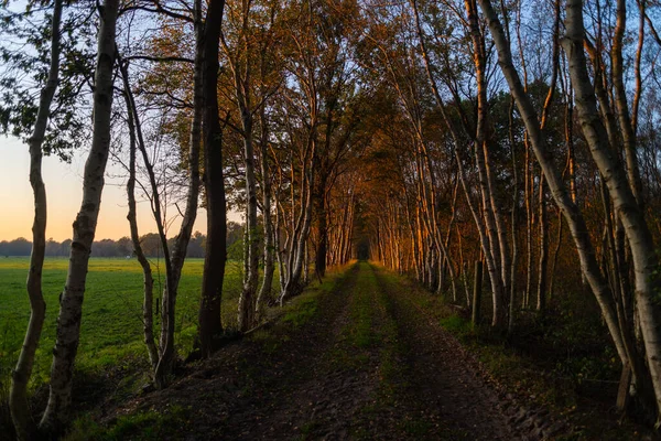 A  small alley in autumn during a sunset — Stock Photo, Image