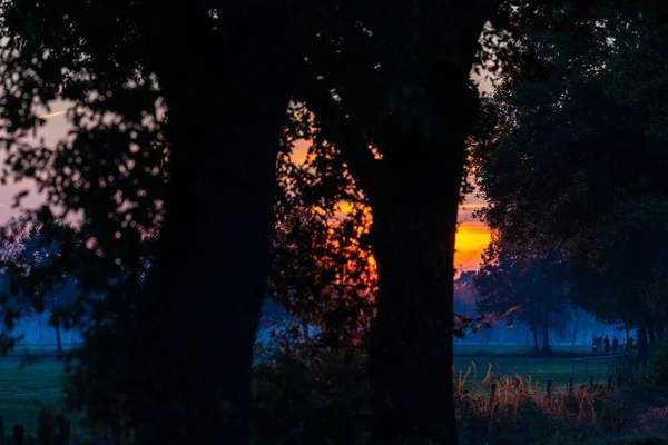 Ein besonderer Sonnenuntergang mit intensiven Farben am Herbstabend — Stockfoto