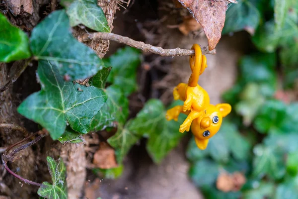 A small  toy was hung on a tree and forgotten — Stock Photo, Image