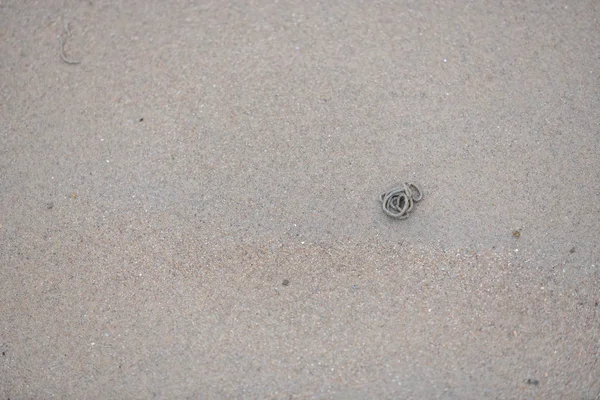 Lugwormen graven door het zandstrand aan de kust — Stockfoto