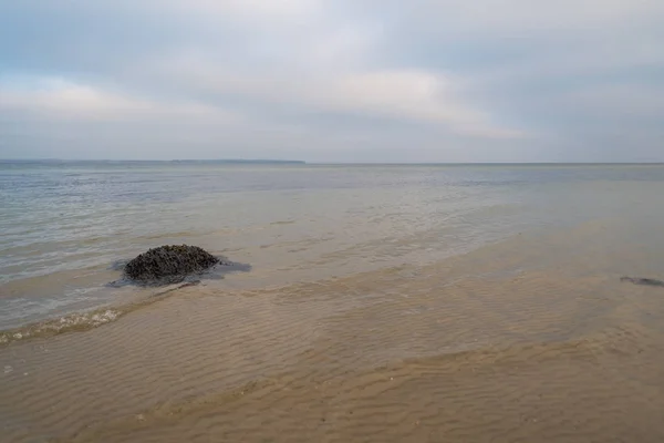 Hay muchas algas en las piedras en la playa de arena —  Fotos de Stock