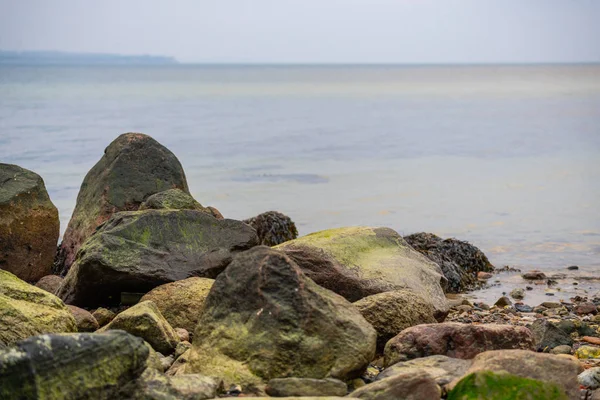 Hay muchas algas en las piedras en la playa de arena — Foto de Stock