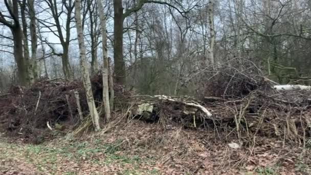 bâtons et branches sont empilés jusqu'à un mur sur un chemin de terre 