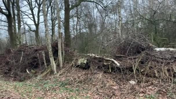 Stokken en takken worden aan een muur opgestapeld op een onverharde weg — Stockvideo