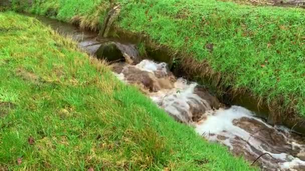 Água Rápida Inquieta Entre Campos Após Chuveiros Chuva Pesada — Vídeo de Stock