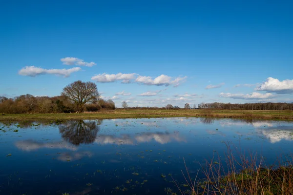 Een Boom Wordt Gereflecteerd Het Water Terwijl Wolken Langs Blauwe — Stockfoto