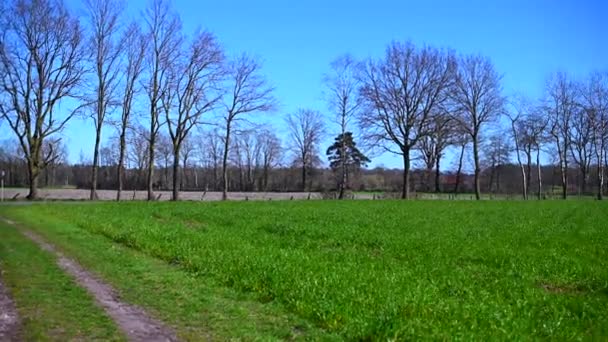 Large Plan Des Champs Lors Une Journée Sans Nuages Brillants — Video