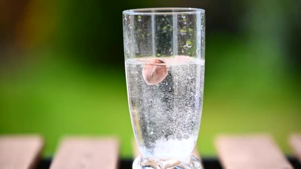 Eine Haselnuss Wird Ein Glas Wasser Zeitlupe Abgeworfen — Stockvideo