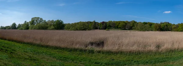 Ein Panoramabild Von Der Lesum Bremen Richtung Knoops Park Der — Stockfoto