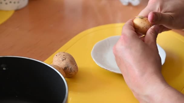 Een Aardappel Wordt Gesneden Aan Een Tafel Met Een Klein — Stockvideo