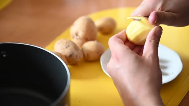 Een Aardappel Wordt Gesneden Aan Een Tafel Met Een Klein — Stockvideo