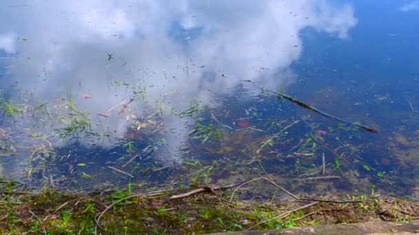 Pan Travers Lac Par Une Journée Lumineuse Avec Des Nuages — Video
