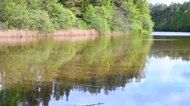 Pan à travers un lac par une journée lumineuse avec des nuages et du soleil 