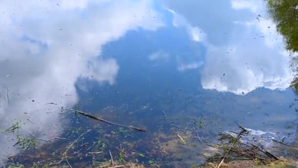 Pan Através Lago Dia Brilhante Com Nuvens Sol — Vídeo de Stock
