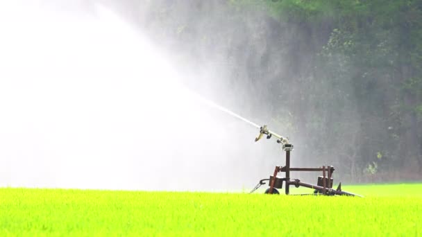 Åker Jordbrukare Fuktas Med Vatten Stor Sprinkler — Stockvideo