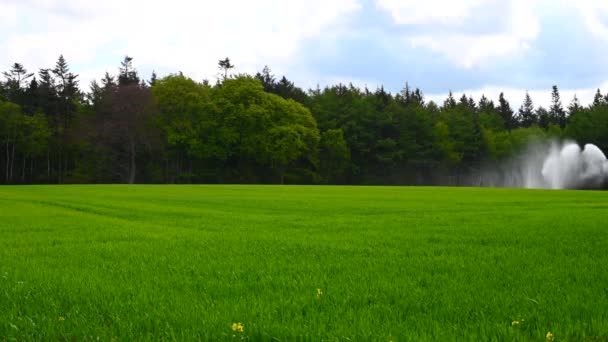 Ein Feld Eines Bauern Wird Von Einem Großen Sprinkler Mit — Stockvideo