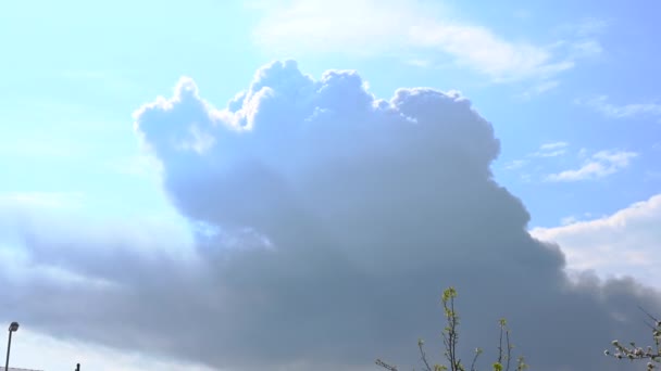 Ateş Hala Alevlenirken Gökyüzünde Büyük Bir Yangından Gelen Kara Bir — Stok video