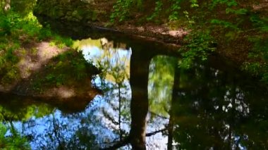 Parkın ortasında yayalar için doğal bir gölet vardır ve güneşin ortasında yaşlı taşlar ve suya yansıyan yeşil ağaçlar.